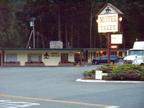 Motel Trees