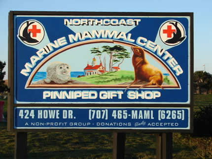 Northcoast Marine Mammal Center